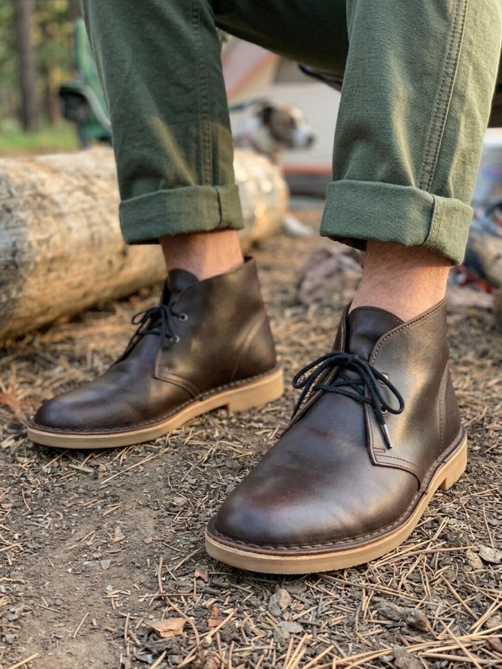 Clarks Desert Boots
